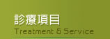 診療項目