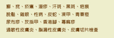 癬,疣,疥瘡,溼疹,汗斑,黑斑,疤痕,脫髮,雞眼,性病,皮蛇,凍甲,青春痘,尿布疹,灰指甲,香港腳,蕁麻疹,過敏性皮膚炎,脂漏性皮膚炎,皮膚切片檢查